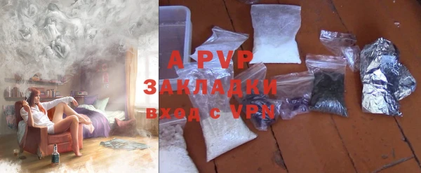 хмурый Арсеньев