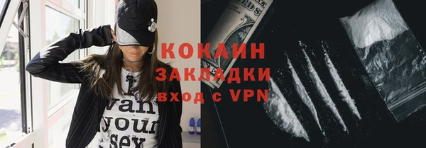 хмурый Арсеньев