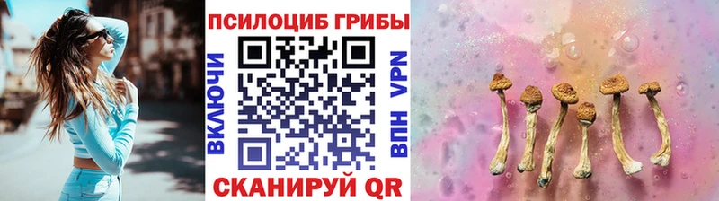 Галлюциногенные грибы MAGIC MUSHROOMS  Бологое 