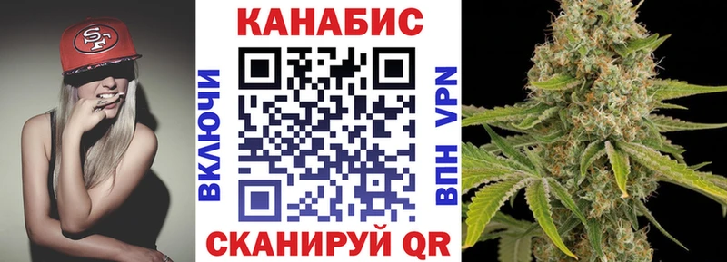 Каннабис сатива  Бологое 